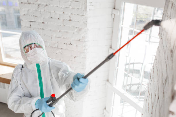 Best Mold Remediation for Healthcare Facilities  in Westwood, CA