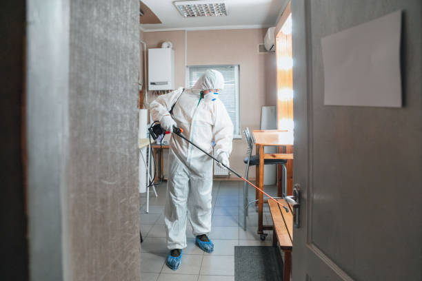Best Environmental Consulting for Mold Prevention  in Westwood, CA