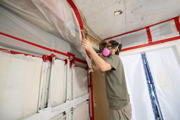 Best Air Quality Testing for Mold Spores  in Westwood, CA