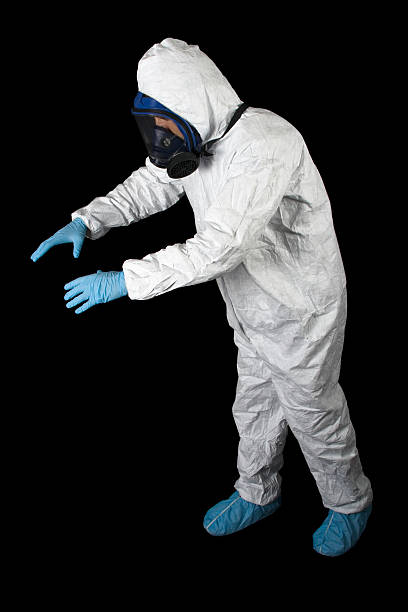 Mold Remediation for Vacation Homes in Westwood, CA