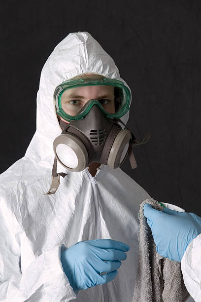 Environmental Consulting for Mold Prevention in Westwood, CA